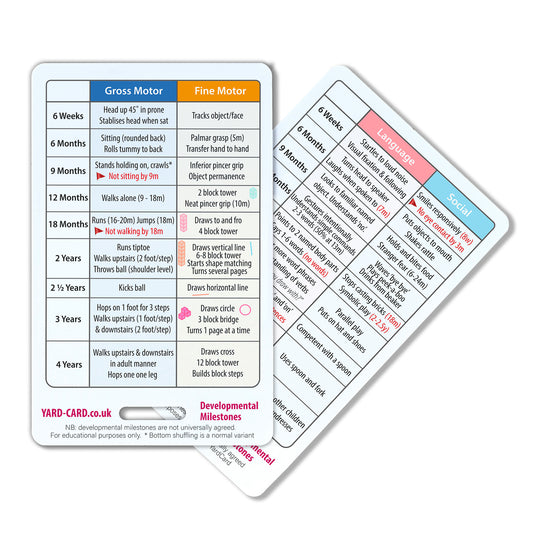 Paediatric YardCard Set - Paediatric Vital Signs Lanyard Reference Cards for Children's Nursing + Medical Students