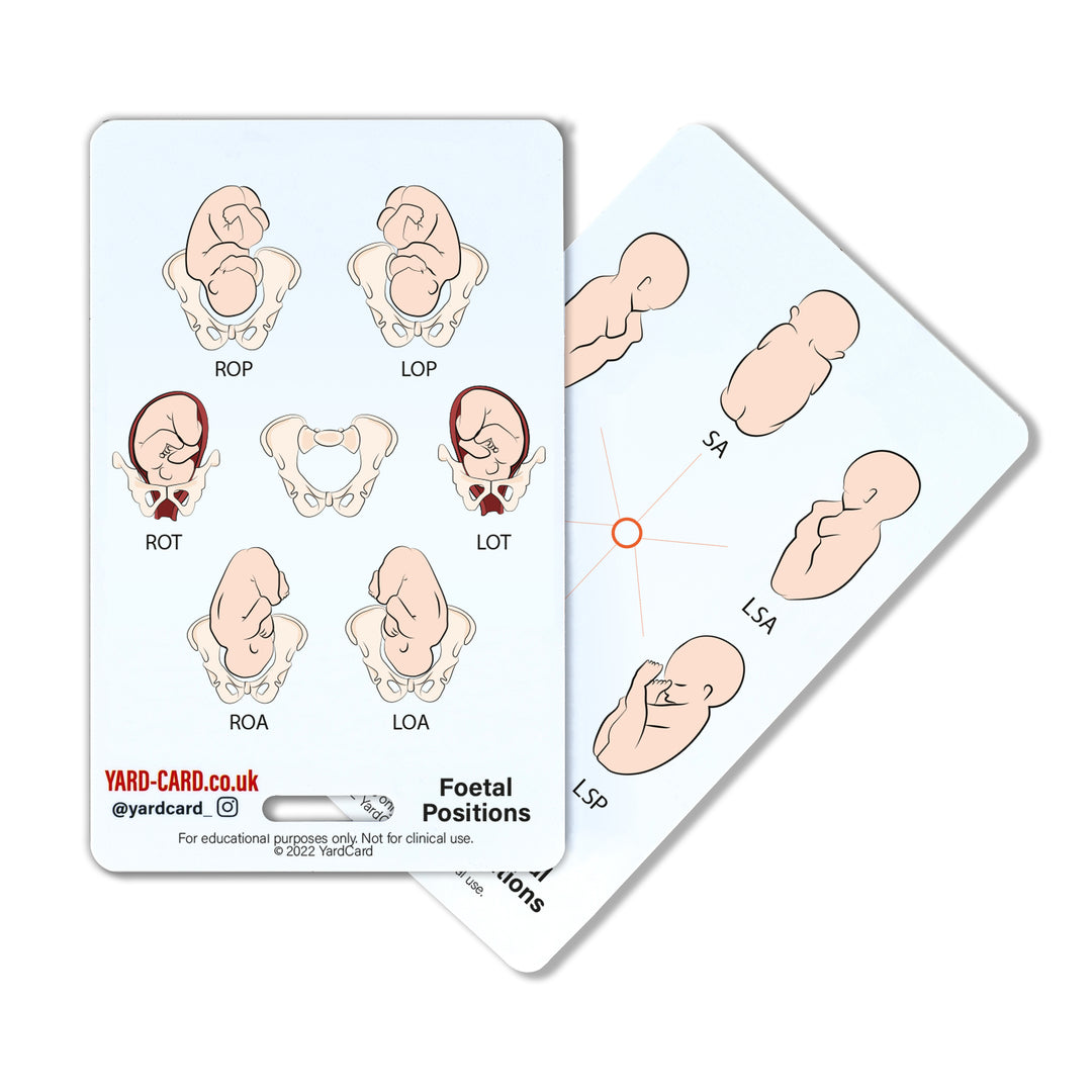 YardCard Student Midwife Lanyard Card Set | Baby Weight Conversions, Bishop Score, Foetal Positions, Abbreviations Active