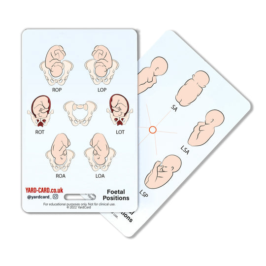 YardCard Student Midwife Lanyard Card Set | Baby Weight Conversions, Bishop Score, Foetal Positions, Abbreviations Active